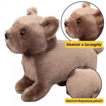 LEAN TOYS Plush Mascot Cuddly Toy Small Dog Brown 19cm