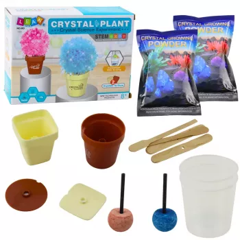 LEAN TOYS Educational Kit Growing Magic Crystal Tree
