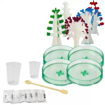 LEAN TOYS Educational Kit Experience Growing Crystal Trees
