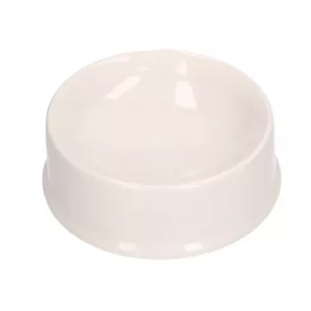 LEAN TOYS Creative Set Dog Bowl For Painting Paints Brushes DIY 6 pcs