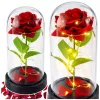 LEAN Eternal Rose in Glass Dome LED Lighting Red 21.5 x 11 cm