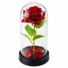 LEAN Eternal Rose in Glass Dome LED Lighting Red 21.5 x 11 cm