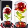 LEAN Eternal Rose in Glass Dome LED Lighting Red 21.5 x 11 cm