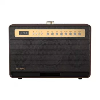 W-KING K6L 120W portatīvais Bluetooth skaļrunis, Brūns
