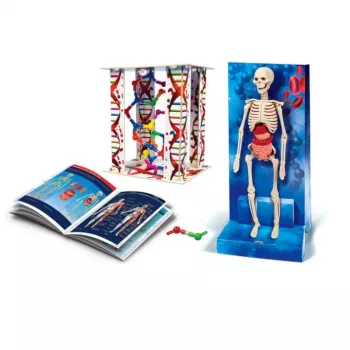 Clementoni Science Fun Human Body (poļu valodā) 60249