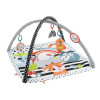 Mattel Baby Activity Gym ar spēles arku, gaismām un mūziku, rotaļu paklājiņš/arka (HBP41)
