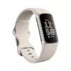Fitbit GA05185-EU sudraba aktivitātes izsekotājs