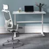 Rokas regulējams augstuma galds Ergo Office, max 40 kg, max augstums 117 cm, ar virsmu stāvus un sēdus darbam, ER-401 W