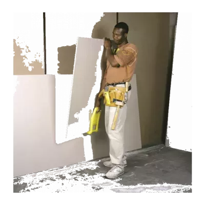 Plākšņu pārnēsātāji