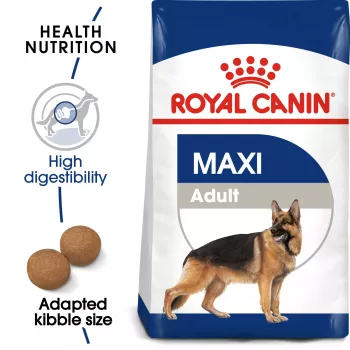 Sausā suņu barība Royal Canin SHN Maxi Adult 4 kg — pilnvērtīga mājputnu formula lielām šķirnēm (25–45 kg), 26% olbaltumvielas