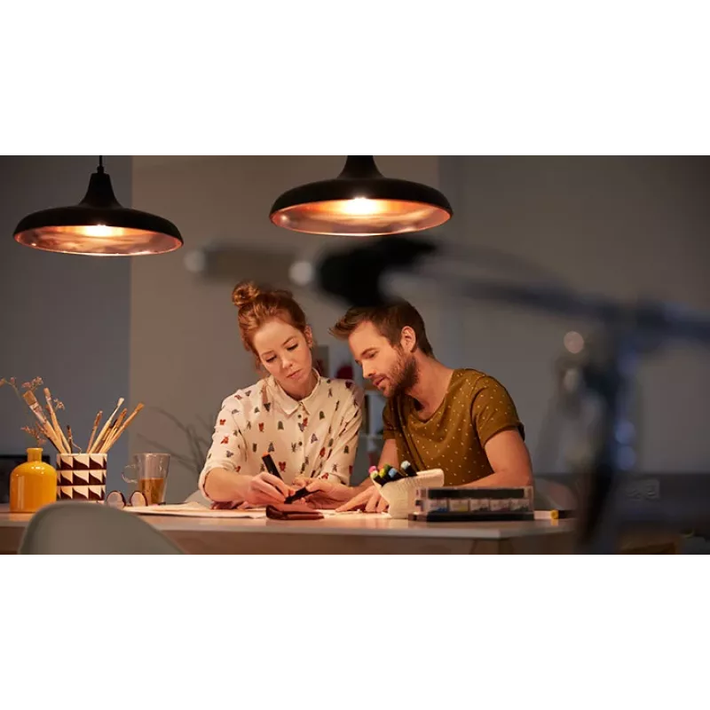 Philips Smart Smart Plug Type-F 3 gab. Matter