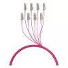 EFB Trunk Cable U-DQ ZN BH OM4 8G 1x8 LC-LC 60m Dca LSZH