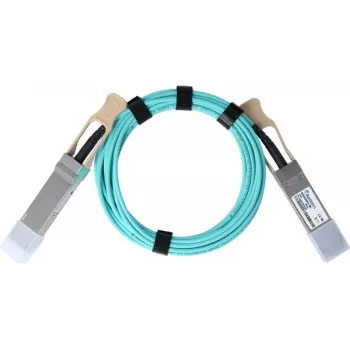 BlueOptics Extreme Networks EQPC1HA0100C0100 QSFP28 Active Optical Cable (AOC), 100GBASE-SR4, 10m
