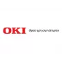 OKI 24-pin drukas galviņa Microline 6300 FB