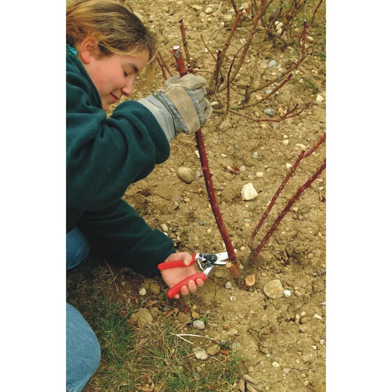FELCO 10 Classic Left-Handed Secateurs