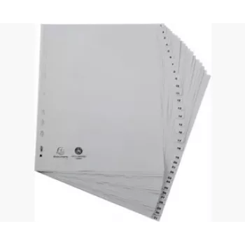 Exacompta 2931E Ring Binder A4 - Grey - 100% Recycled Polypropylene - 2 Rings 20 mm - Spine 30 mm - 180 Sheets Capacity
