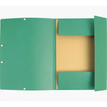 Exacompta Collection Folder 55403E DIN A4 3 Flaps Cardboard Green