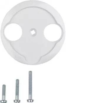 Hager Central Plate WTF4592PW for Antenna Socket 2-Hole 1930/Glas Polar White