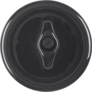 HAGER WTW1000PBG centrālā plāksne ar slēdzi, sērija 1930, porcelāns, ražojis Rosenthal