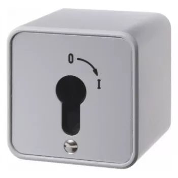 Hager WDE4466 Key Switch Surface-Mounted for Profile Half-Cylinder Die-Cast Zinc IP54