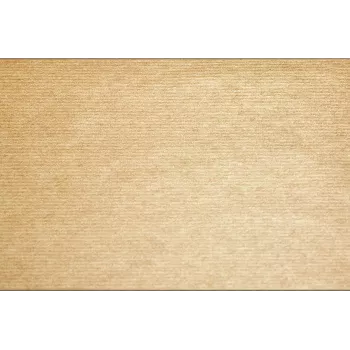 PROnappe 500 Placemats Tiss Lacquered Natural 30.0 x 40,0 cm