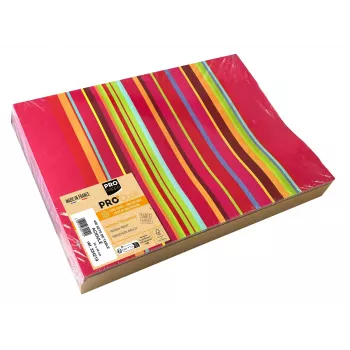 PROnappe 400 Placemats Multicolour 30.0 x 40,0 cm