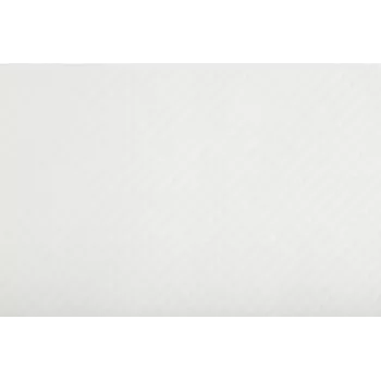 PROnappe 500 Placemats Tiss Lack White 30.0 x 40,0 cm