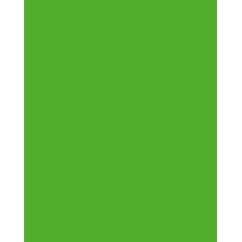 Folia 614/50 55 - Green - Solid - A4 (210 x 297 mm) - 300 g/m² - 50 Sheets - Germany