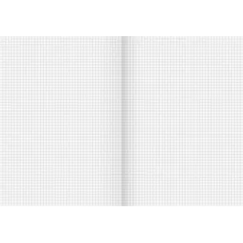 Brunnen Recycling School Notebook Lineatur 22, rūtiņu bez malas, A4