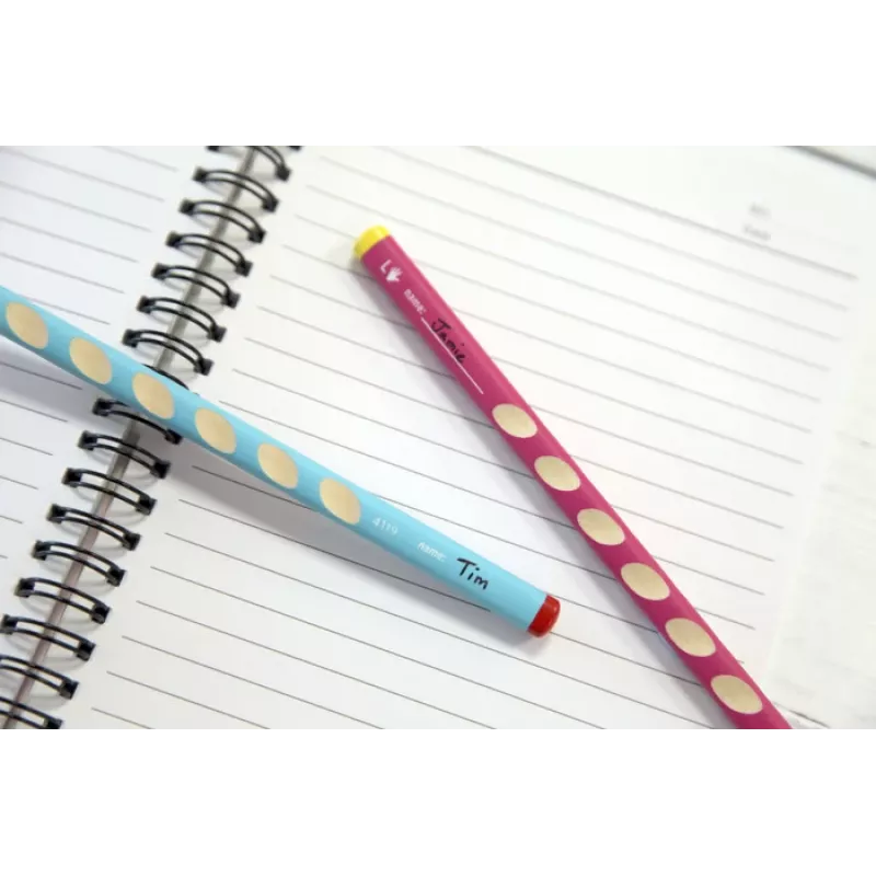 STABILO EASYgraph Graphite Pencil HB Pink Triangular 3,15 mm 1 Piece
