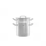 Fissler Original Profi Collection 2 Multistar Steamer and Perforated Insert Set 20 cm