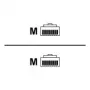 Rittal DK CMC III CAN-Bus Connection Cable - Network Cable - RJ-45 Male to RJ-45 Male - 1.5 m (7030.092)