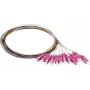 Synergy 21 S215524 Šķiedru optikas pigtail SC OM4 2m 12 komplekts krāsains