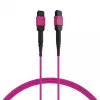 EFB ELEKTRONIK MPO-PLUS(F)-MPO-PLUS(F) Patch Cable OM4 12 Fibers Type B LSZH Heather Violet 10m