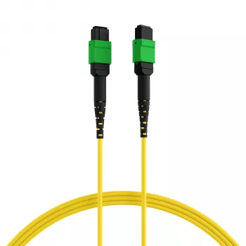 EFB ELEKTRONIK MPO-PLUS/APC(F)-MPO-PLUS/APC(F) Patch Cable OS2 12 Fibers Type B LSZH Yellow 5m