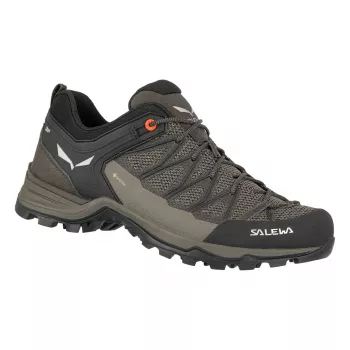 Salewa Mountain Trainer Lite GTX Hiking Shoes
