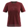 Sieviešu T-krekls Salewa Eagle Eitd AM T-Shirt