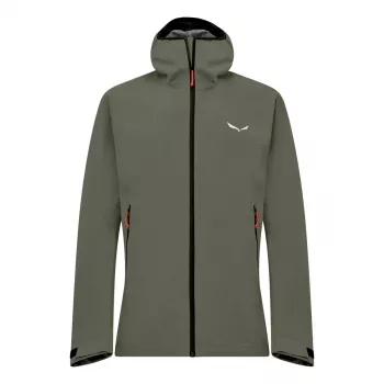 SALEWA Jacket Puez GTX 3L epe-faded green-50 (L)
