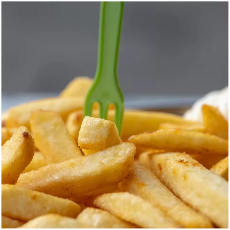 FRITEL Profi fritieris 5L 3200W pelēks