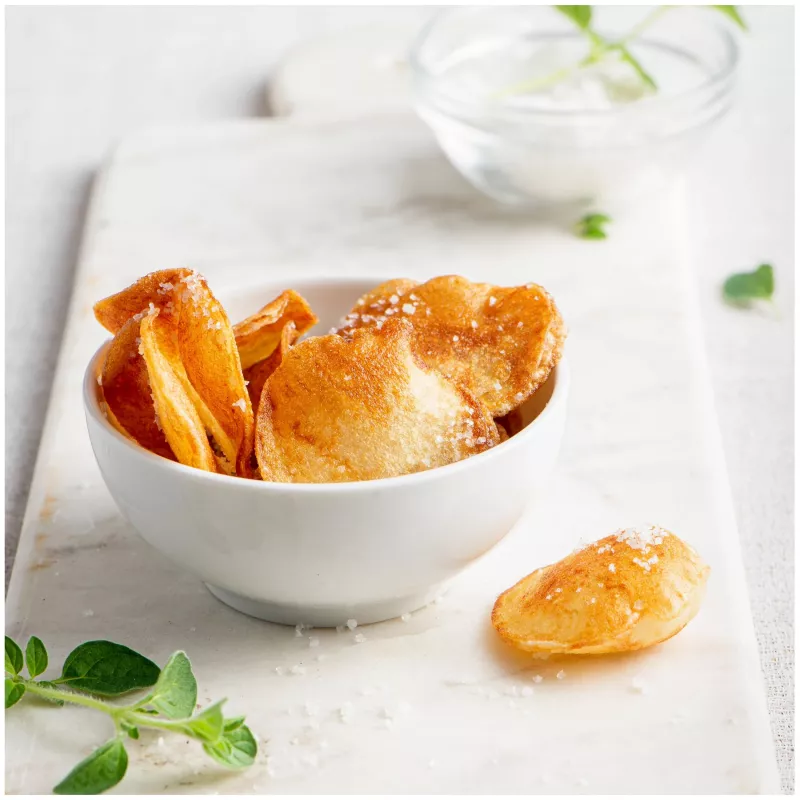 FRITEL Profi fritieris 5L 3200W pelēks