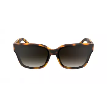 KARL LAGERFELD KL6161S-240 Sieviešu Oversized Square Saulesbrilles, Havana Brūnas ar Brūnu Gradientu Lēcām, 63/14/140 mm