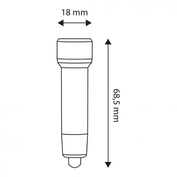 ENTAC 5 LED Keychain Flashlight Silver