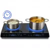 MEDION LIFE Double Induction Cooktop MD 15324 (Black, 3500 Watt, 2x Ø 20cm)