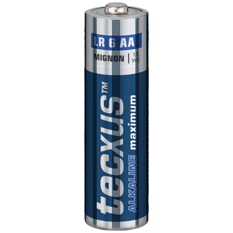 TECXUS Mignon AA Standard Batteries Alkaline LR6 1,5V