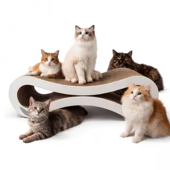 MOZOS KITTY-SPIKE Kaķa skrāpēklis un gulēšanas vieta, kartons, liela, 86 cm XXL