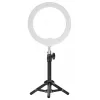 Newell LED Ring Light RL-10A Arctic White + Tripod