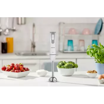 ZELMER ZHB4555S 1000W Rokas blenderis, sudraba/melns, nerūsējošā tērauda asmens, mainīgs ātrums ar turbo, kapājamā bļoda 500 ml, putotājs, glāze 700 ml