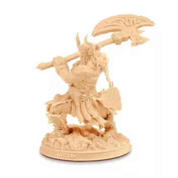 Anycubic Standard V2 1kg Resin Beige