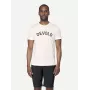 Devold Classic Legacy Tee Merino vilnas T-krekls - Balts - M