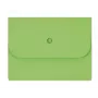 ELCO 25 Collection Folders Ordo Forte 3 mm Spine Green A4